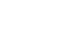 Brave Thinking Institute Logo